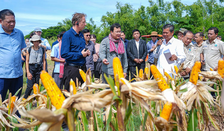 Cambodia and EU boost agricultural development partnership